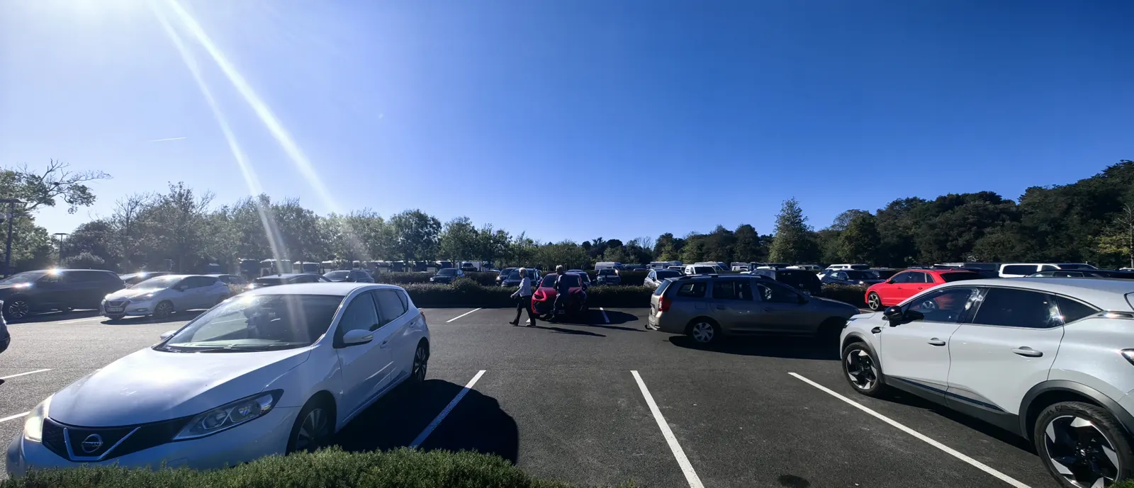 Tree-lined car park of the Normandy American Cemetery at Colleville-sur-Mer where private chauffeurs wait